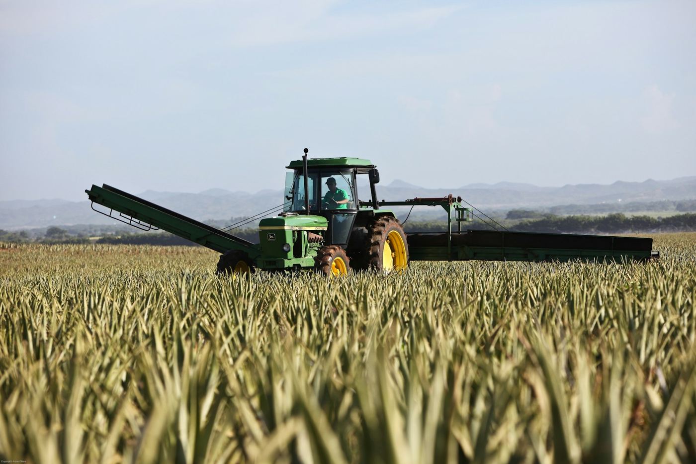 Agricultural machinery sourced from Weifang, Shandong, China